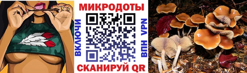 Галлюциногенные грибы ЛСД сколько стоит Медвежьегорск